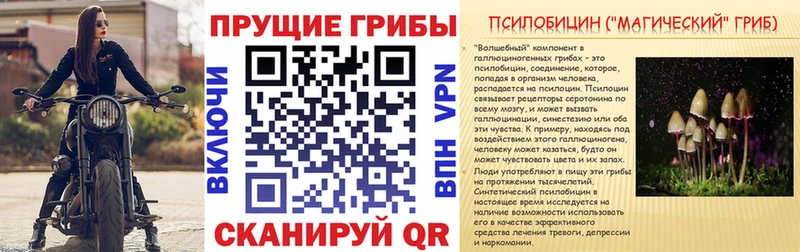 Псилоцибиновые грибы прущие грибы  Геленджик 